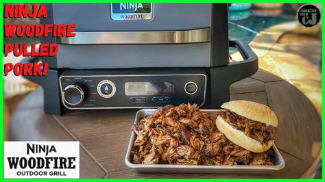ninja woodfire grill recipes for pork